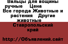 Вальцы для вощины ручные  › Цена ­ 10 000 - Все города Животные и растения » Другие животные   . Ставропольский край